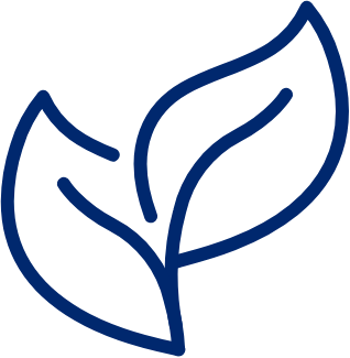 Dentinox icon vegan