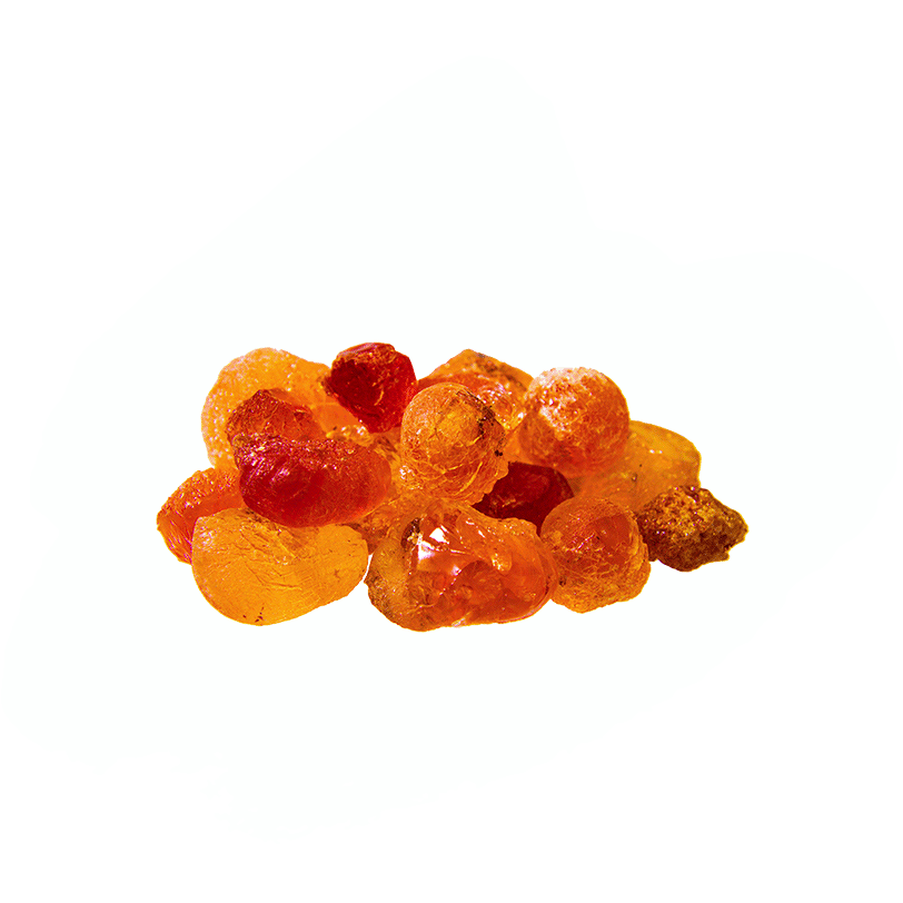 Acacia Senegal Gum 0112